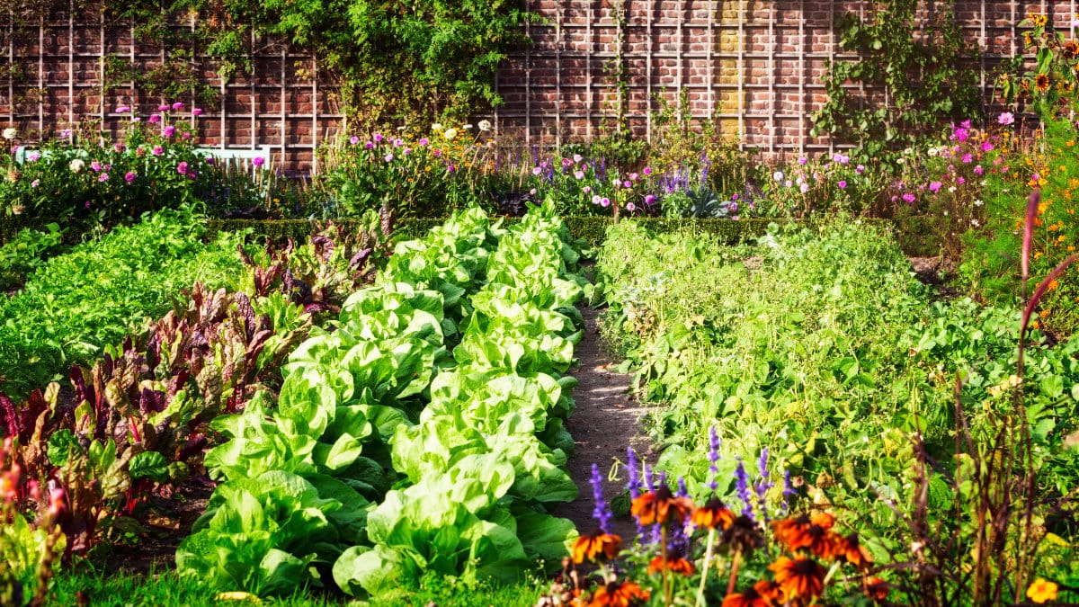 A flourishing garden with flowers, leafy greens, and vegetables growing.
